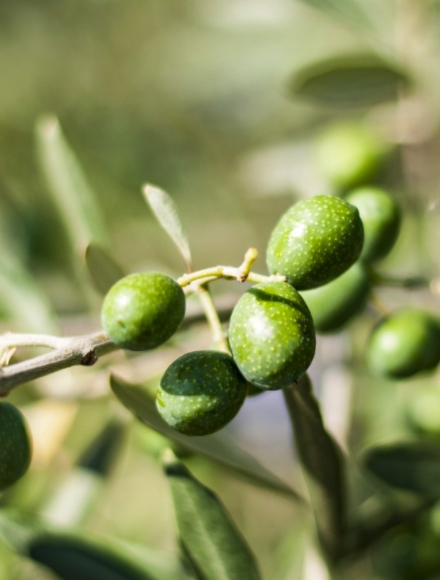 首页- 南宫NG28集团娱乐官方网站